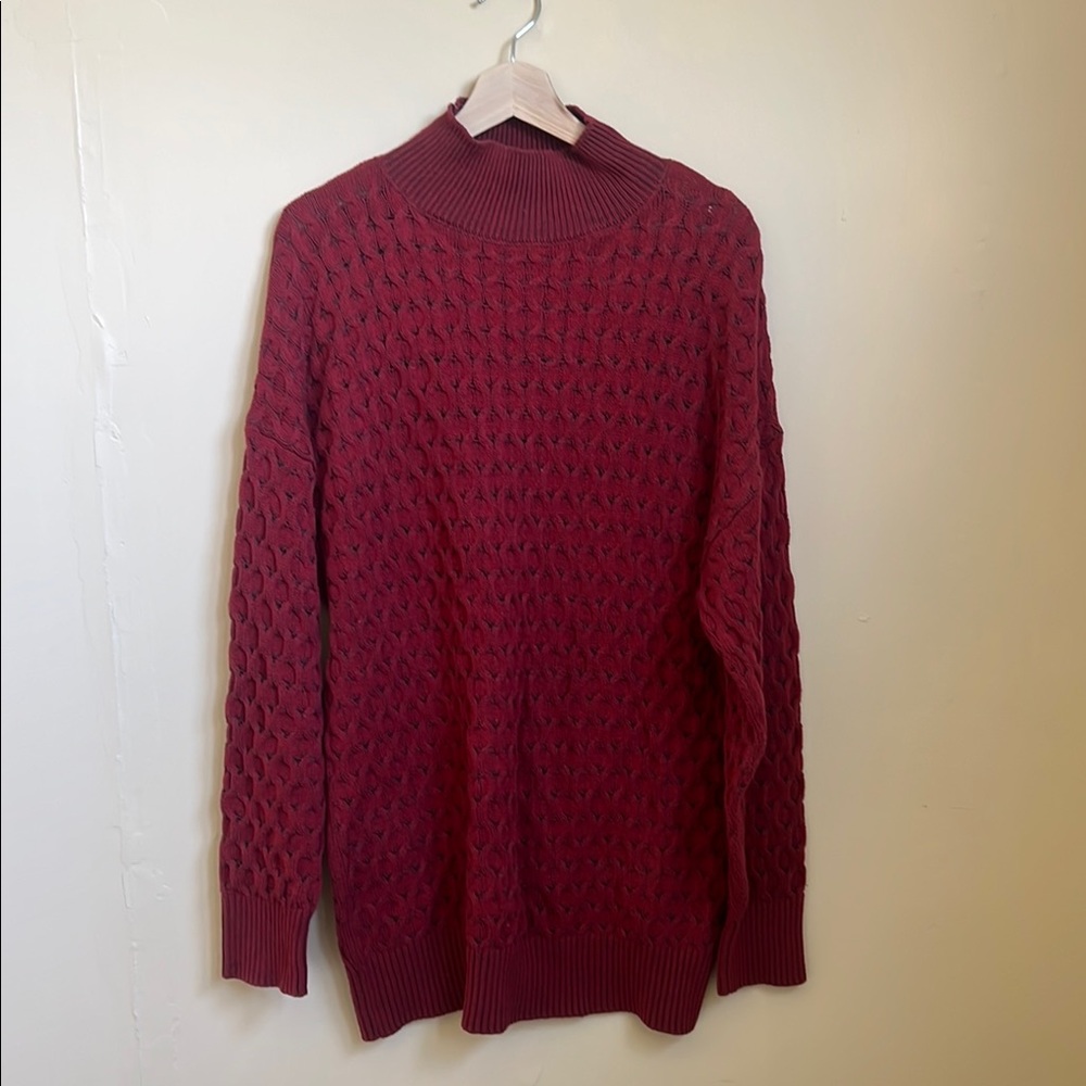 Knox Rose Red Cowl Neck Sweater with Cable Knit Design